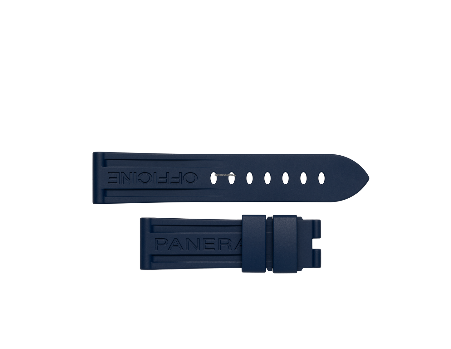 PAM03313