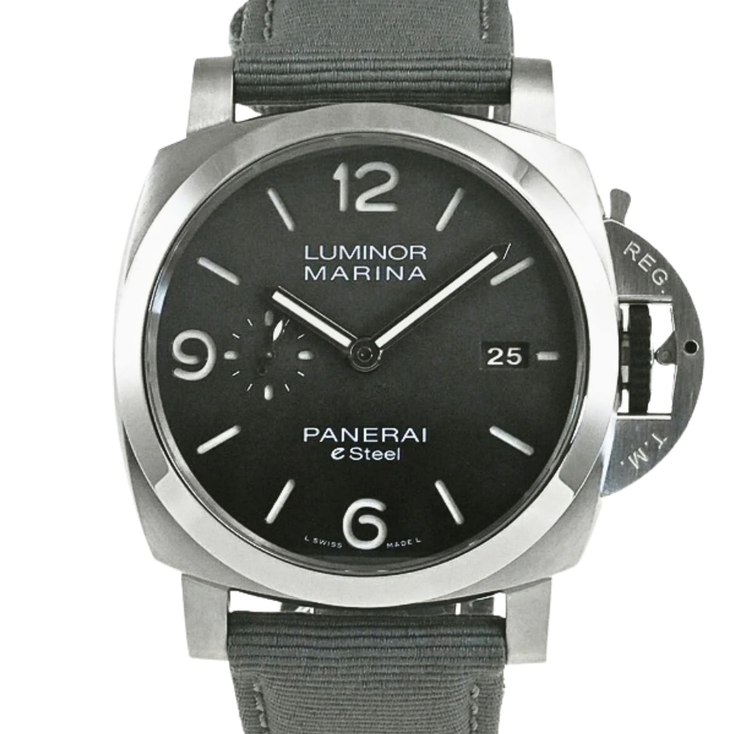 PAM01358