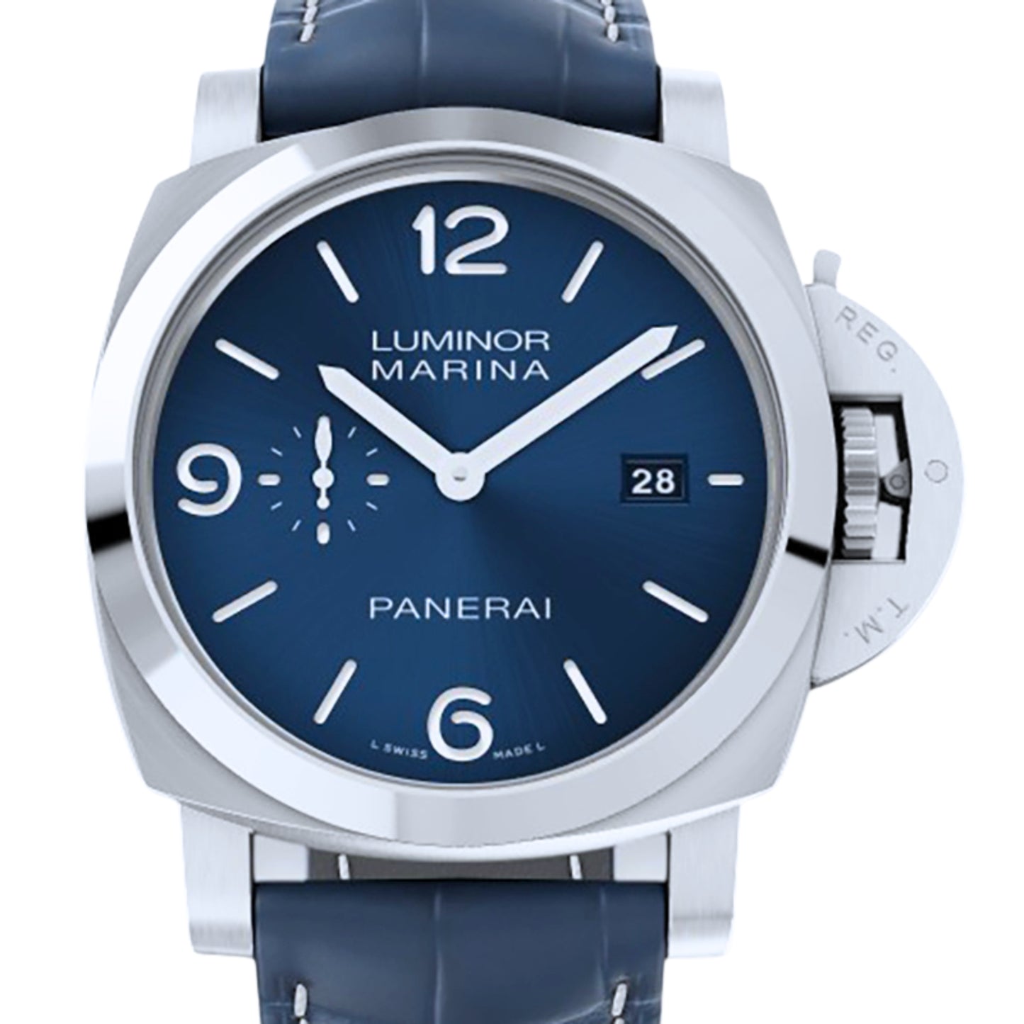 PAM03313