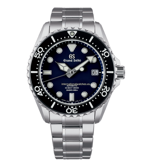 SBGH289G