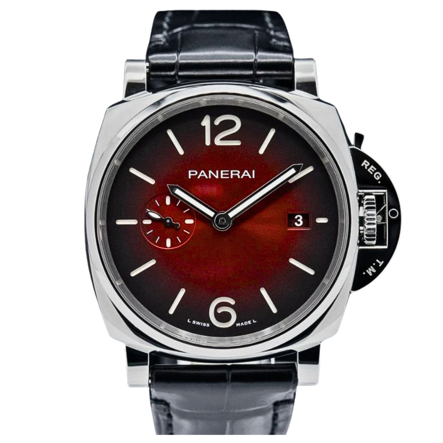 PAM01424