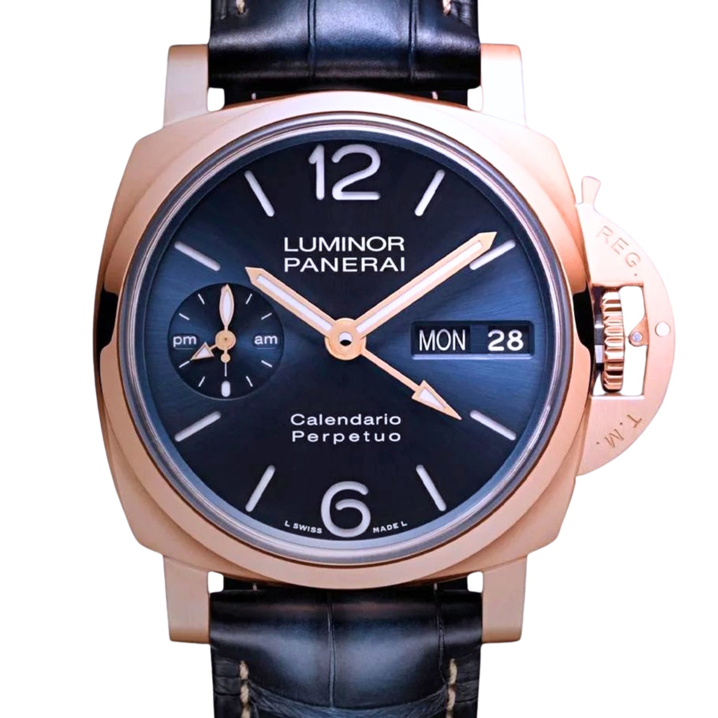 PAM00742