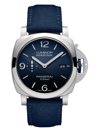 PAM01157