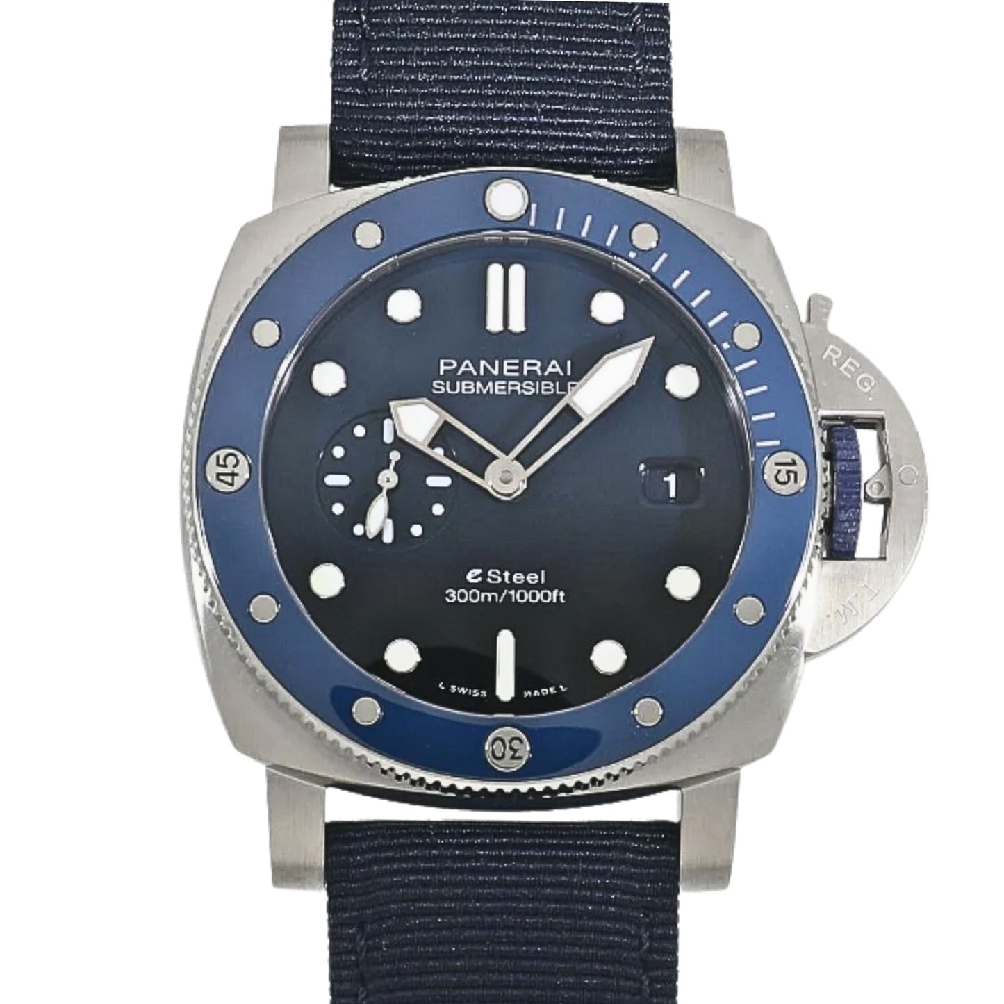 PAM01289